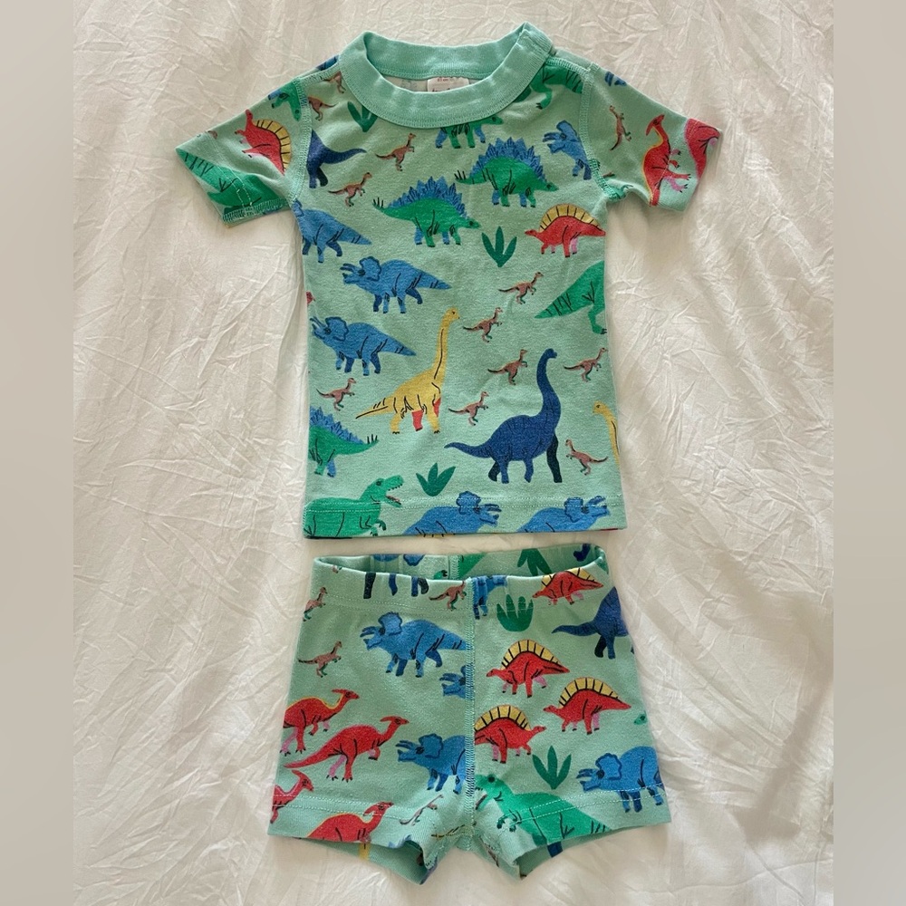 Hanna Andersson Green and Blue Dinosaur Pajama Set
